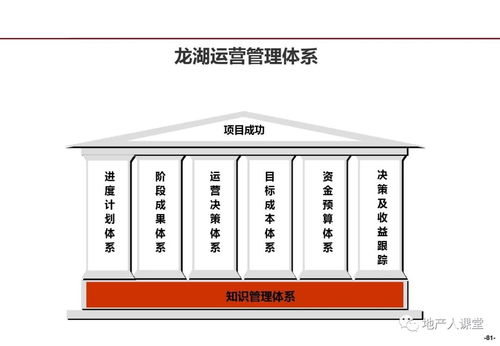 管理 龙湖企业管理与运营精细化管理